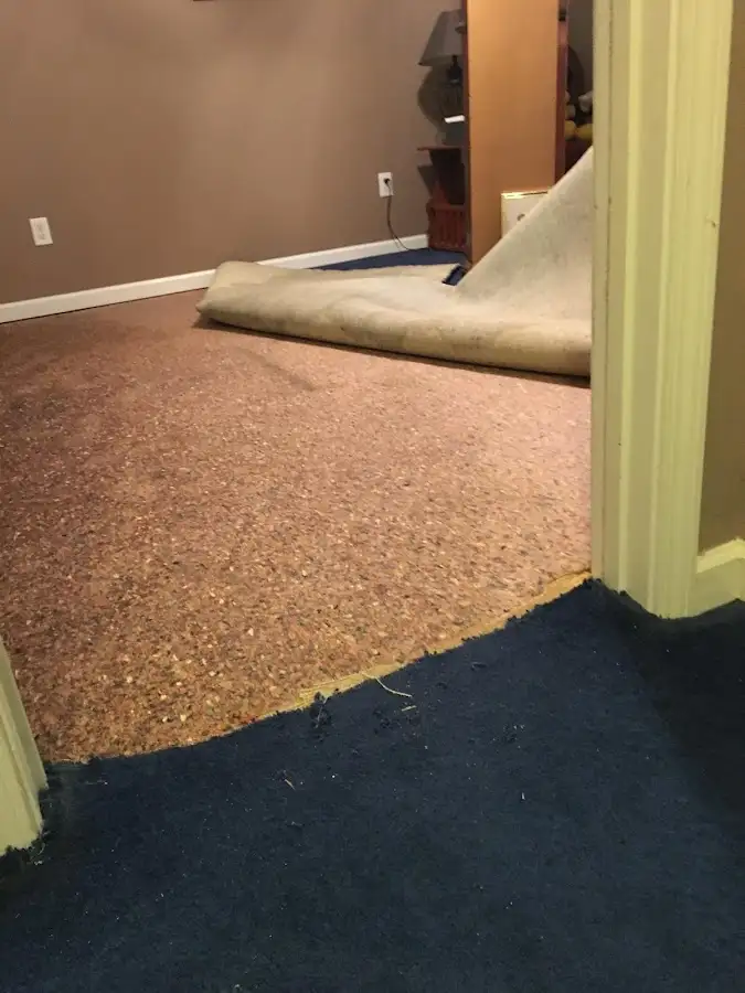 Carpet pad removal revealing water damage during Drying & Dehumidification in South Miami